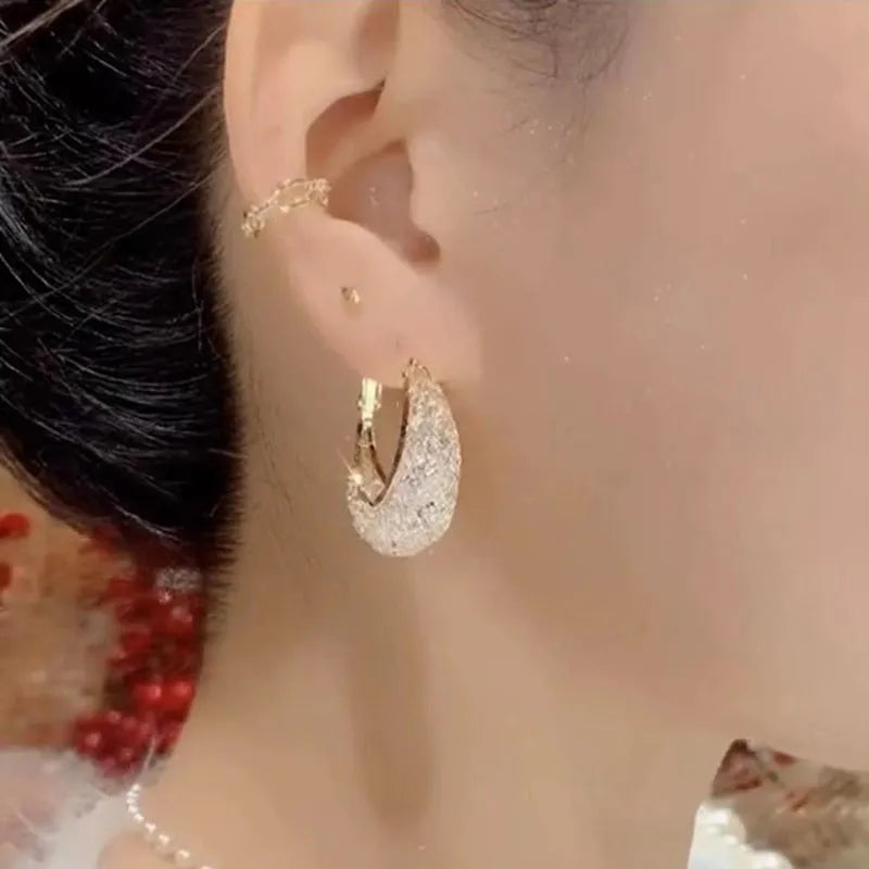 Elegant Mesh Zircon Earrings